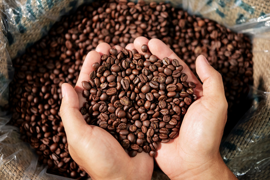 How Gimoka Fits Into The Italian Coffee Tradition